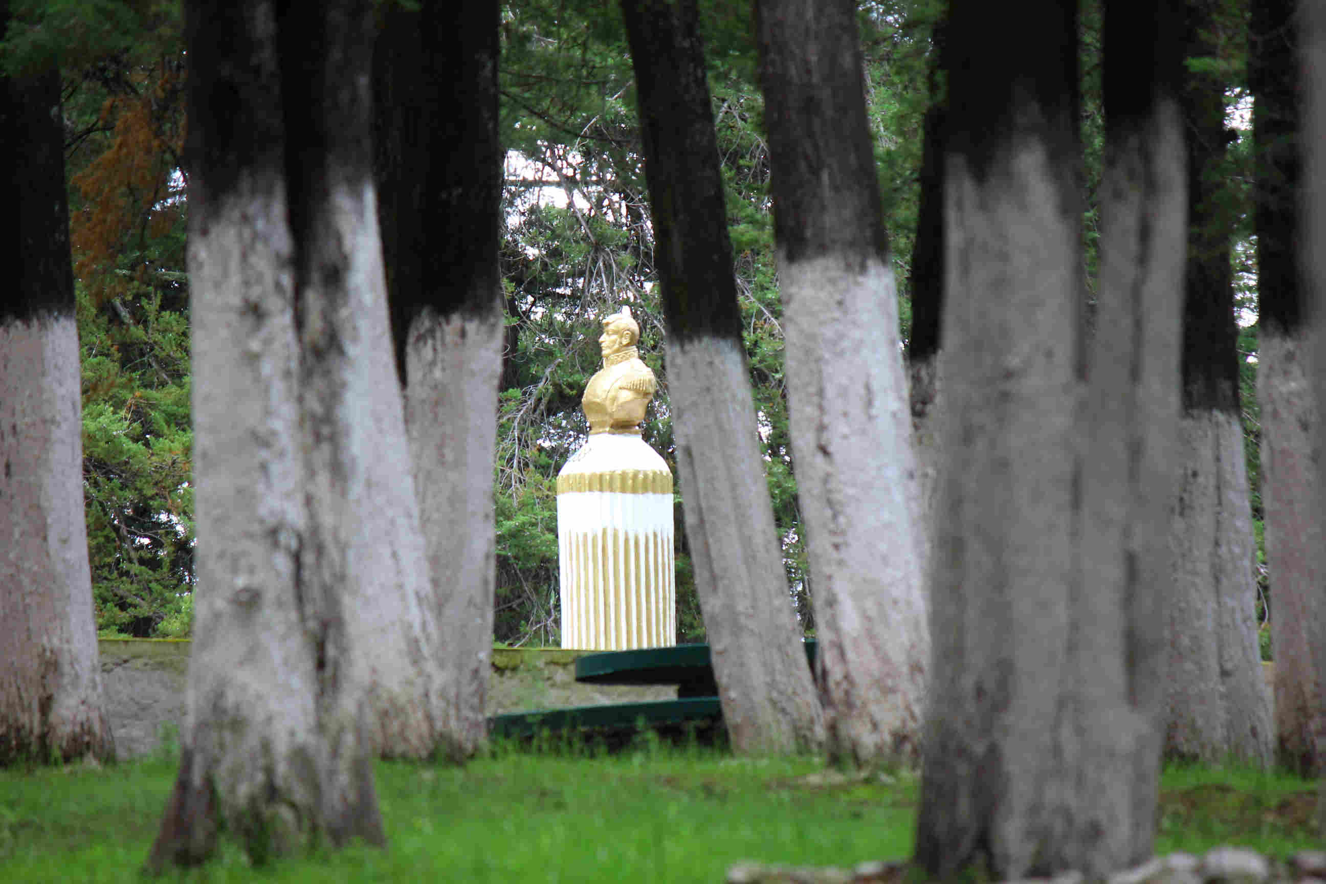 Campo de Gallo